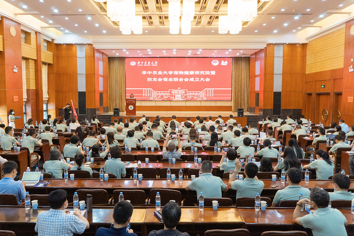 大会全景(学通社记者 张紫雯 摄)