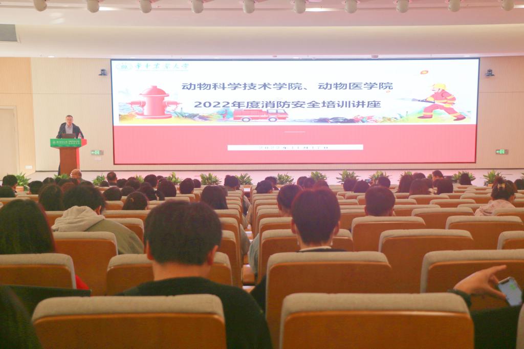 新2网址